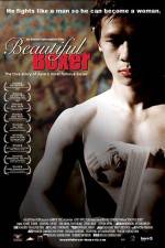 Watch Beautiful Boxer Gomovies