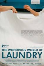 Watch The Laundromat Gomovies