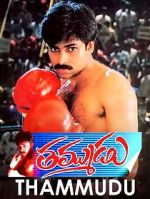 Watch Thammudu Gomovies