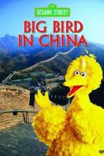 Watch Big Bird in China Gomovies