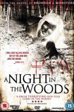 Watch A Night in the Woods Gomovies