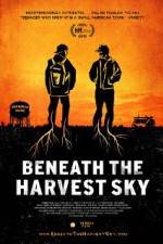 Watch Beneath the Harvest Sky Gomovies