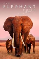 Watch The Elephant Queen Gomovies