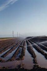 Watch El Valley Centro Gomovies