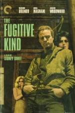 Watch The Fugitive Kind Gomovies