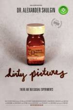 Watch Dirty Pictures Gomovies
