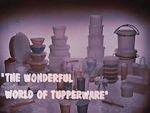 Watch The Wonderful World of Tupperware (Short 1965) Gomovies