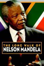 Watch The Diamond Empire Gomovies