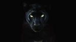 Watch The Real Black Panther (Short 2020) Gomovies
