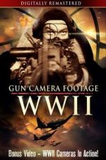 Watch Gun Camera Footage WWII Gomovies