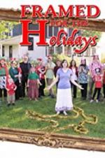 Watch Framed for the Holidays Gomovies