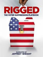 Watch Rigged: The Voter Suppression Playbook Gomovies