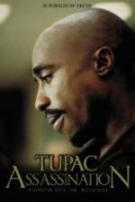 Watch Assassination: Conspiracy or Revenge Gomovies