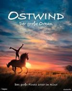 Watch Windstorm: The Great Hurricane Gomovies