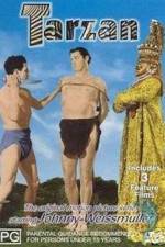 Watch Tarzan and the Leopard Woman Gomovies
