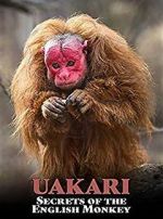Watch Uakari: Secrets of the English Monkey Gomovies