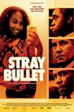 Watch Stray Bullet Gomovies