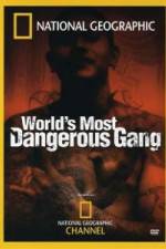 Watch National Geographic World's Most Dangerous Gang Gomovies