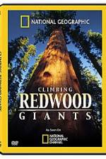 Watch National Geographic Explorer: Climbing Redwood Giants Gomovies