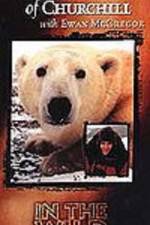 Watch The Polar Bears of Churchill with Ewan McGregor Gomovies
