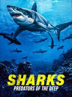 Watch Sharks: Predators of the Deep Gomovies