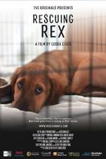 Watch Rescuing Rex Gomovies