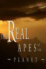 Watch The Real Apes of the Planet Gomovies