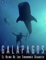 Watch Galapagos: Realm of Giant Sharks Gomovies