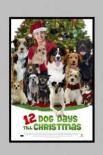 Watch 12 Dog Days of Christmas Gomovies
