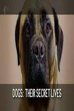 Watch Dogs: Their Secret Lives Gomovies
