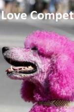 Watch The Love Competition Gomovies