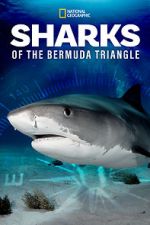 Watch Sharks of the Bermuda Triangle (TV Special 2020) Gomovies