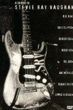 Watch A Tribute to Stevie Ray Vaughan Gomovies