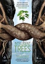 Watch Intelligent Trees Gomovies