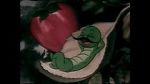 Watch The Wacky Worm (Short 1941) Gomovies