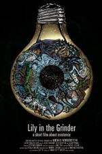 Watch Lily in the Grinder Gomovies