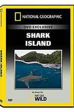 Watch National Geographic: Shark Island Gomovies