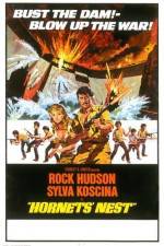 Watch Hornets' Nest Gomovies