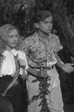 Watch Star Reporter Gomovies