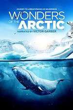 Watch Wonders of the Arctic 3D Gomovies