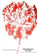 Watch The Miracle of Life Gomovies