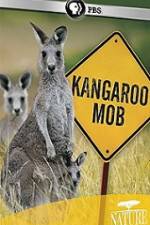 Watch Kangaroo Mob Gomovies