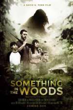 Watch Something in the Woods Gomovies