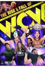 Watch WWE The Rise and Fall of WCW Gomovies