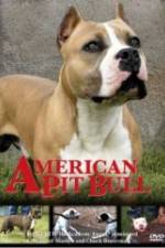 Watch American Pit Bull Gomovies