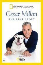 Watch Cesar Millan: The Real Story Gomovies