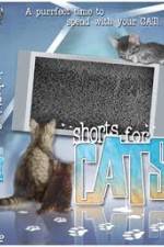 Watch Shorts for Cats Gomovies