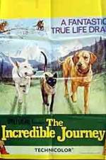 Watch The Incredible Journey Gomovies