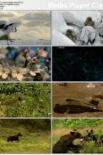 Watch National Geographic: Japans Hidden Secrets Gomovies