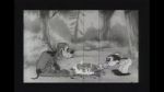 Watch Bosko\'s Dog Race Gomovies
